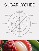 Diffuser | Sugar Lychee | 500ml [Free Shipping]