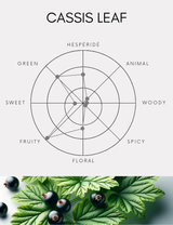 Diffuser | Cassis Leaf | 500ml [Free Shipping]