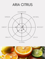 Diffuser | Aria Citrus | 500ml [Free Shipping]