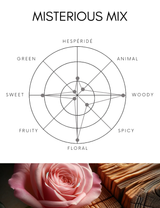 Diffuser | Mysterious Mix | 500ml [Free Shipping]