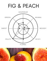 Diffuser | Fig &amp; Peach | 500ml [Free Shipping]
