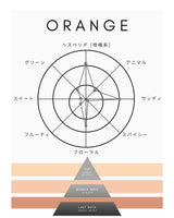 EDT Perfume Collection