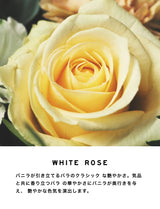 Fragrance sample | Trial Mouette